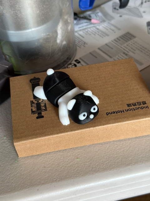 Panda Test Print